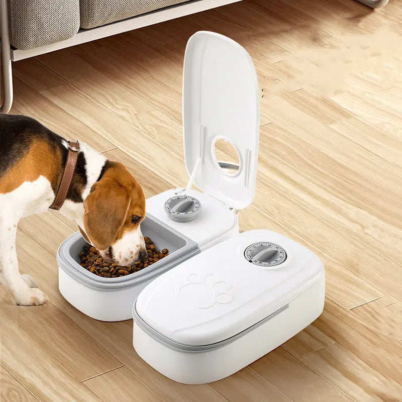 Automatic Pet Feeder Smart Food Dispenser For Cats Dogs Timer Stainless Steel Bowl Auto Dog Cat Pet Feeding Pets Supplies My Store