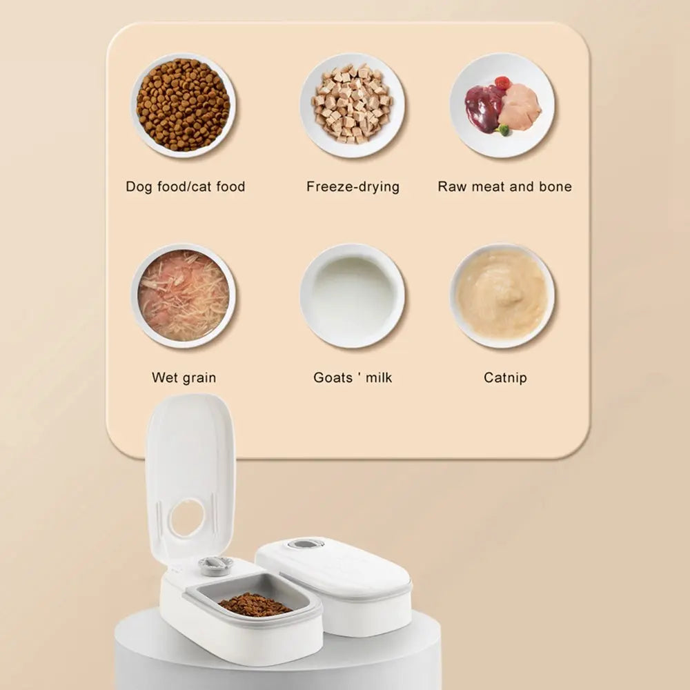 Automatic Pet Feeder Smart Food Dispenser For Cats Dogs Timer Stainless Steel Bowl Auto Dog Cat Pet Feeding Pets Supplies My Store