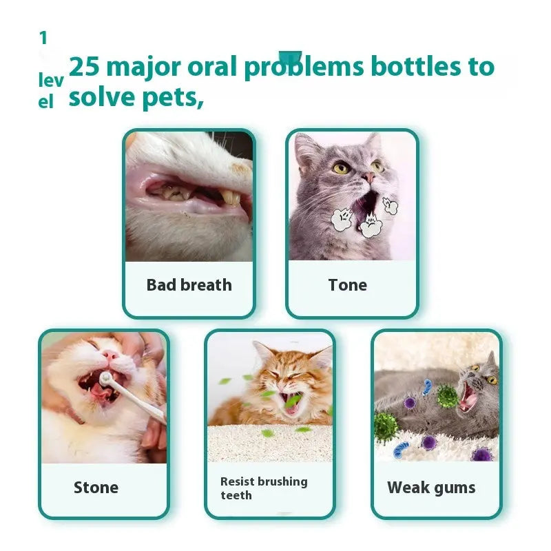 Pet Mouthwash Care Healthy Teeth My Store