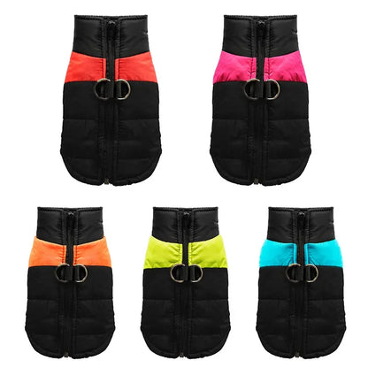 Windproof Dog Jacket with D-Rings - Waterproof Winter Vest for All Sizes