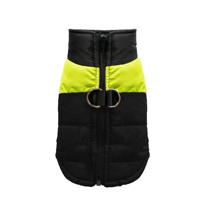 Windproof Dog Jacket with D-Rings - Waterproof Winter Vest for All Sizes