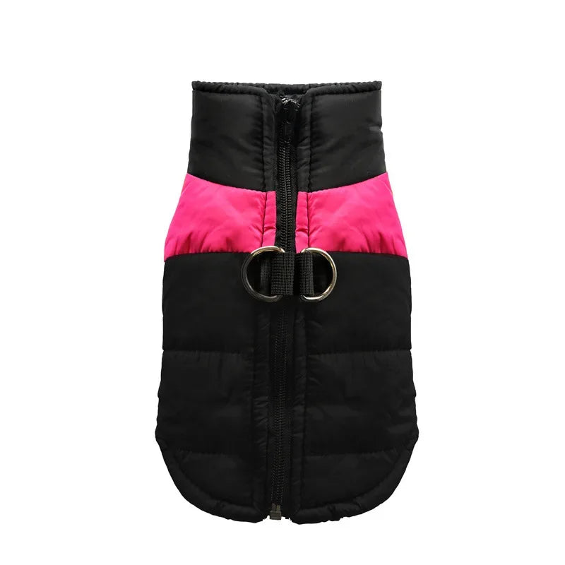 Windproof Dog Jacket with D-Rings - Waterproof Winter Vest for All Sizes